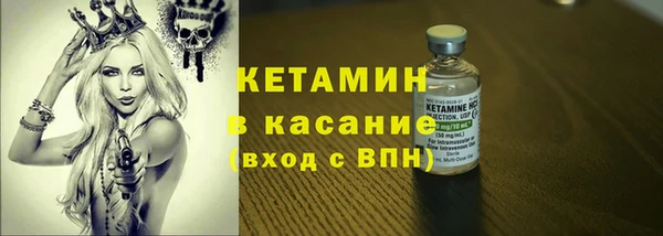 гидра Михайловка