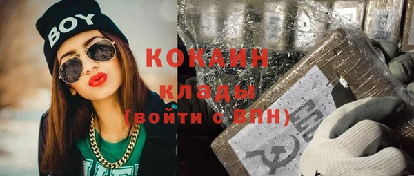 гидра Михайловка