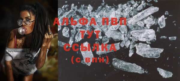 гидра Михайловка