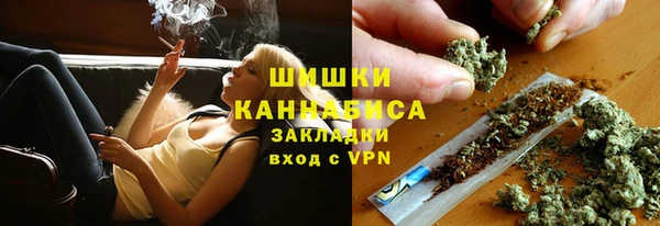 молекула духа Михайлов