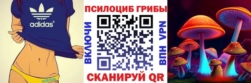 Псилоцибиновые грибы мухоморы  закладка  Томари 